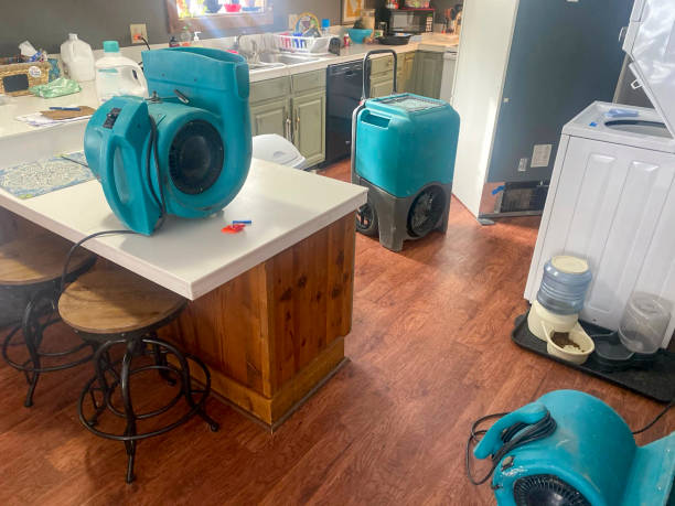 Best Water damage restoration near me  in Meeker, CO