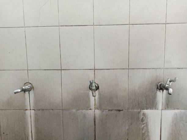 Best Emergency water damage restoration  in Meeker, CO