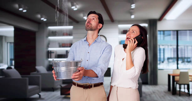 Best Flood damage cleanup  in Meeker, CO