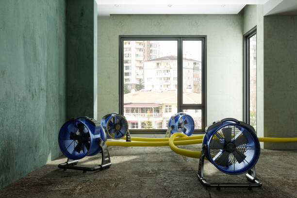 Best Flood restoration services  in Meeker, CO